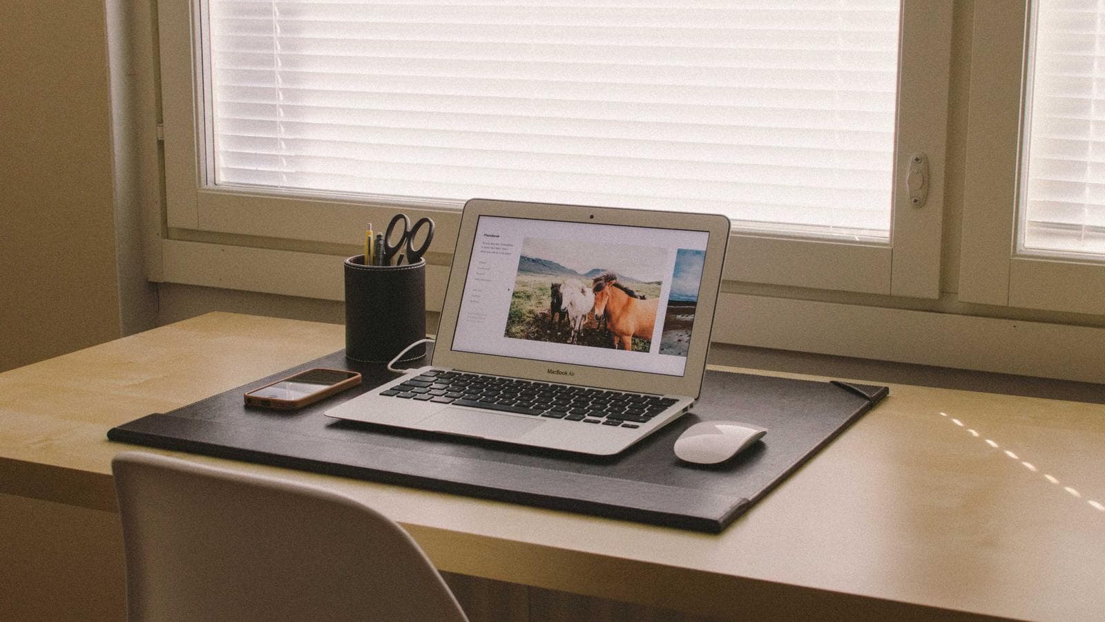 NecroIPTV: The Ultimate Streaming Solution for Entertainment Enthusiasts